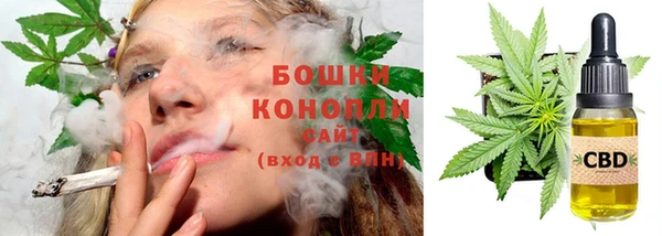 ГАЛЛЮЦИНОГЕННЫЕ ГРИБЫ Нея