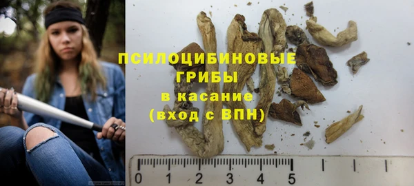 spice Надым