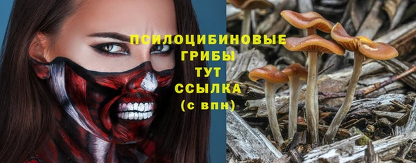 spice Надым